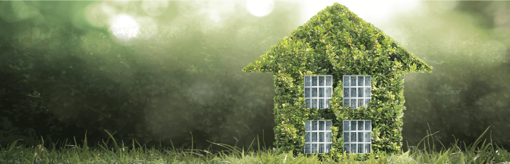 Eco-friendly homes in India