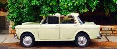 The Mysterious Case of Car Design